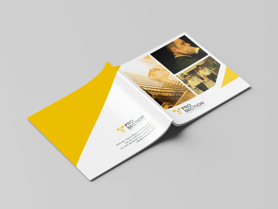 ProSection Logo ve Kurumsal Tasarım