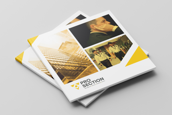 Prosection Güvenlik